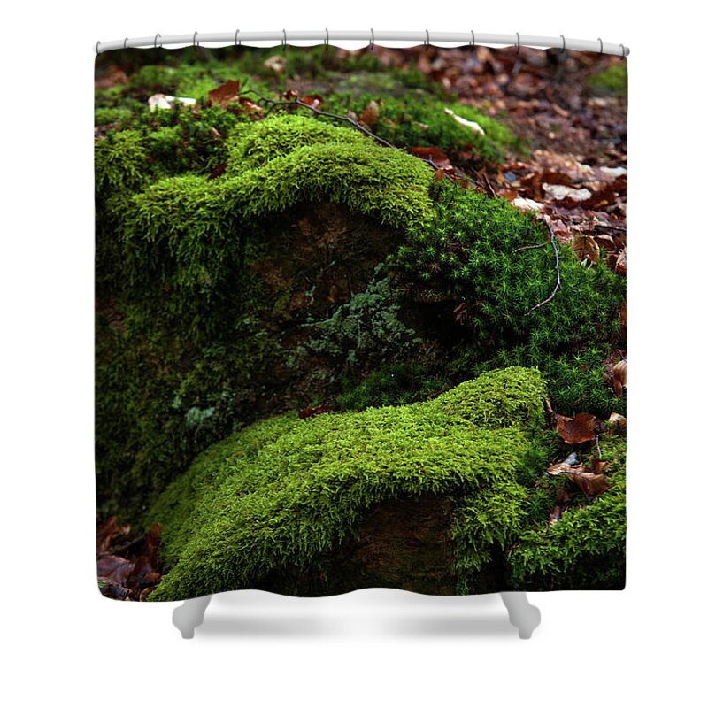 Jenny Rainbow Fine Art Photography Shower Curtain featuring the photograph Mossy Rocks in Spring Woods by Jenny Rainbow