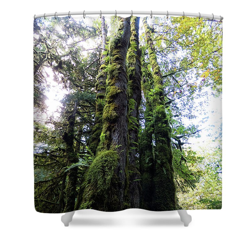 British Columbia Shower Curtain featuring the photograph Mother Nature's Compass by Leslie Montgomery