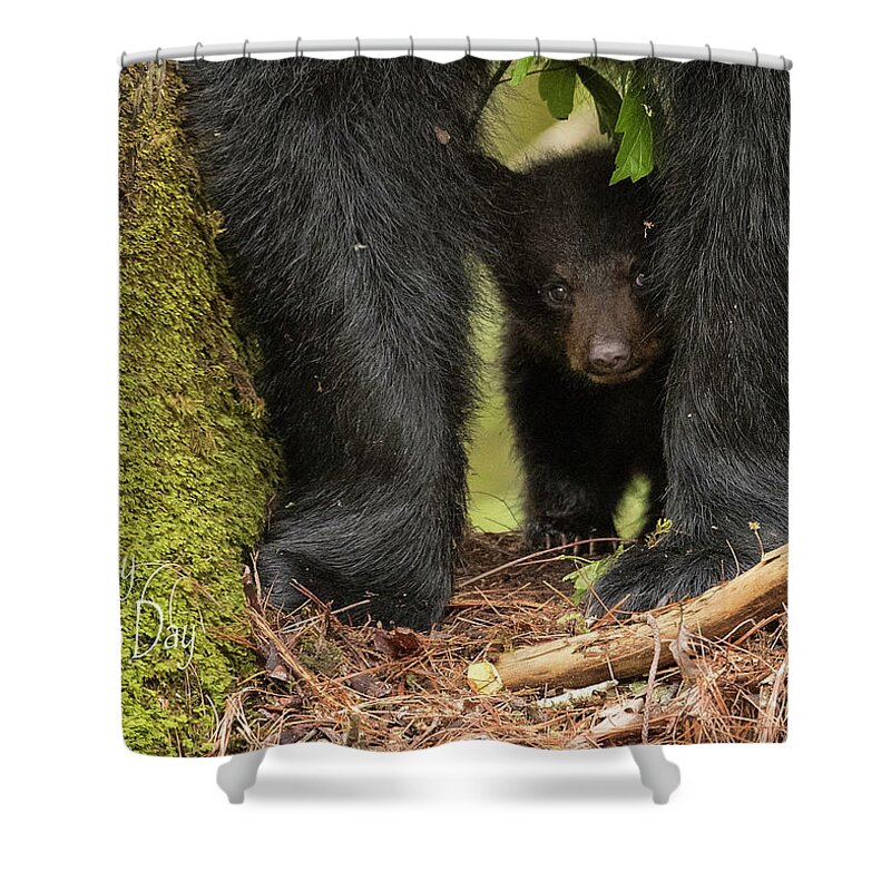 Black Shower Curtain featuring the photograph Mothers Day Bear Card by Everet Regal