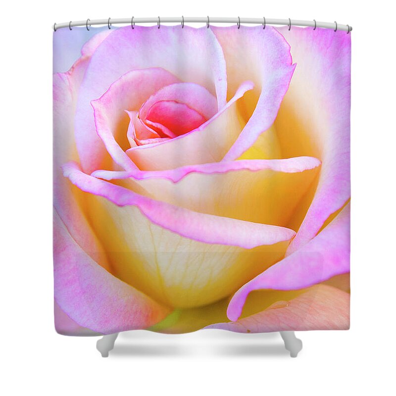 Mothers Day Shower Curtain featuring the photograph Mothers Day by David Millenheft