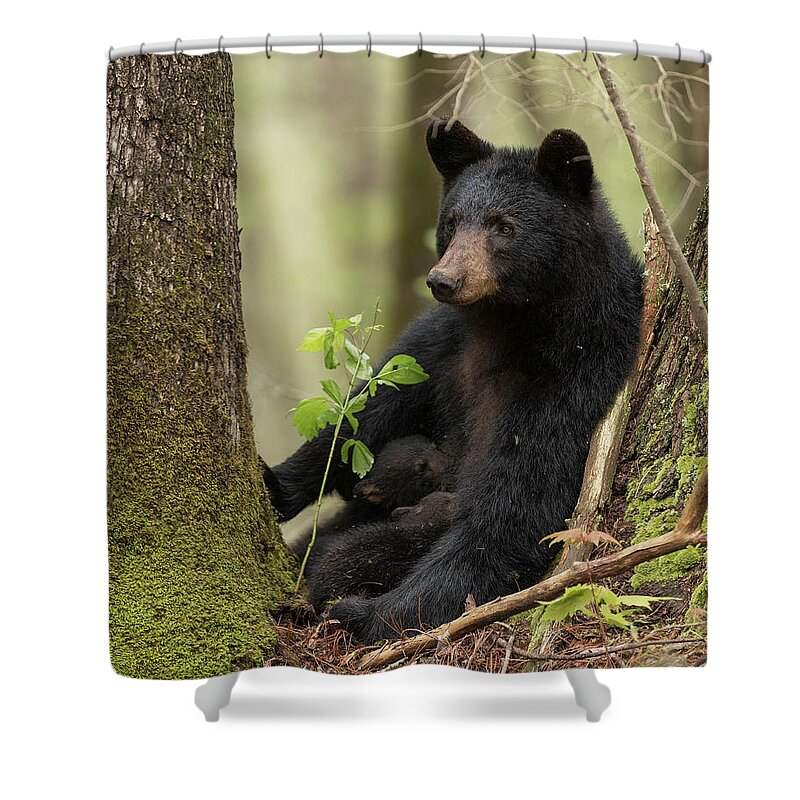 Black Shower Curtain featuring the photograph Mothers Loving Care by Everet Regal