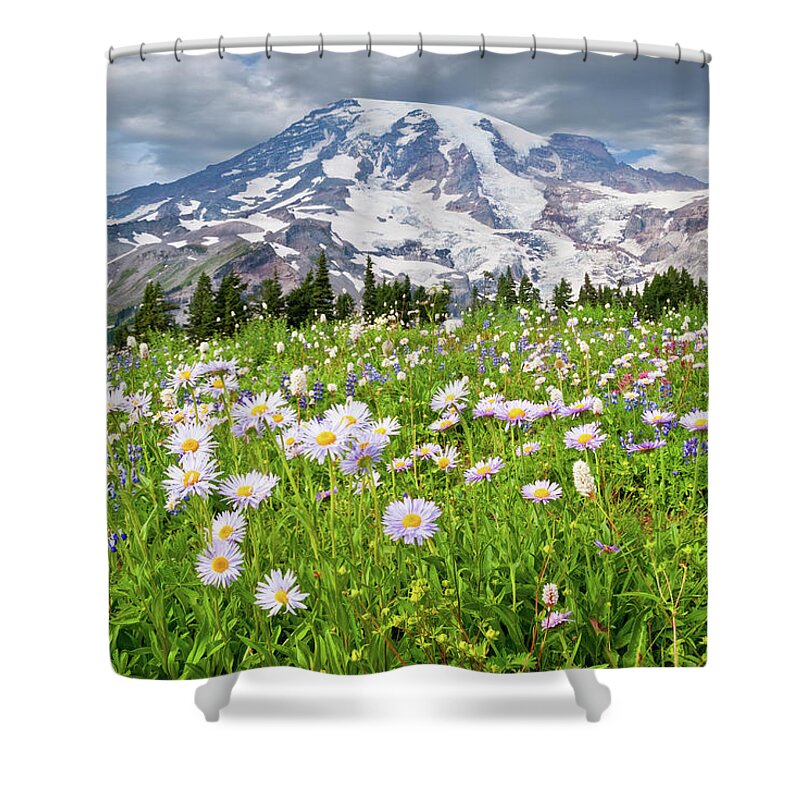 Alpine Shower Curtain featuring the photograph Mount Rainier and a Meadow of Aster by Jeff Goulden