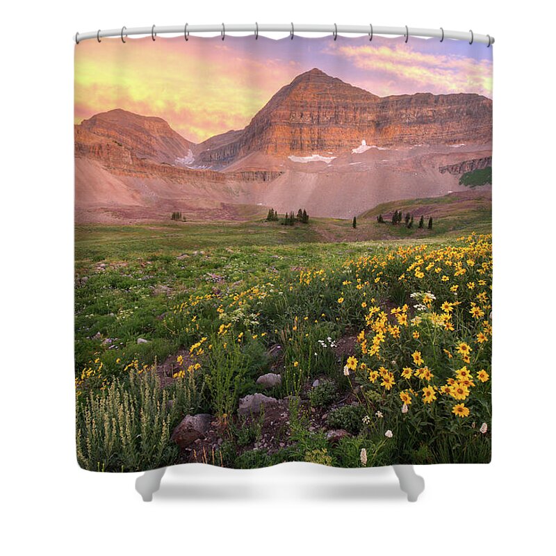 Utah Shower Curtain featuring the photograph Mount Timpanogos Wildflower Sunset - Utah by Brett Pelletier