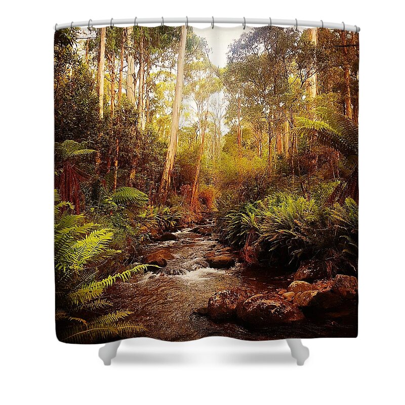 Nature Shower Curtain featuring the photograph Mountain creek by Glen Johnson