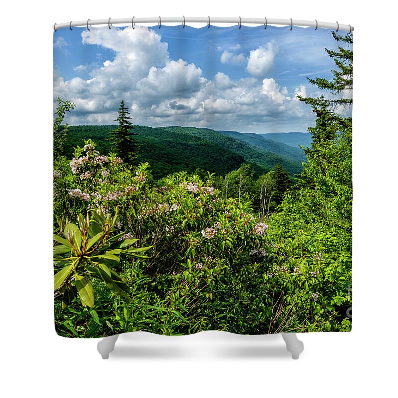 Summer Shower Curtain featuring the photograph Mountain Laurel and Ridges by Thomas R Fletcher