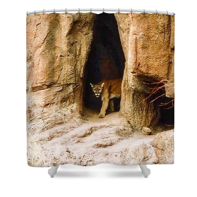 Arizona Shower Curtain featuring the photograph Mountain Lion in the Desert by Judy Kennedy