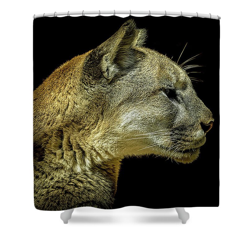 Mountain Lion Shower Curtain featuring the photograph Mountain Lion Portrait by Ernest Echols