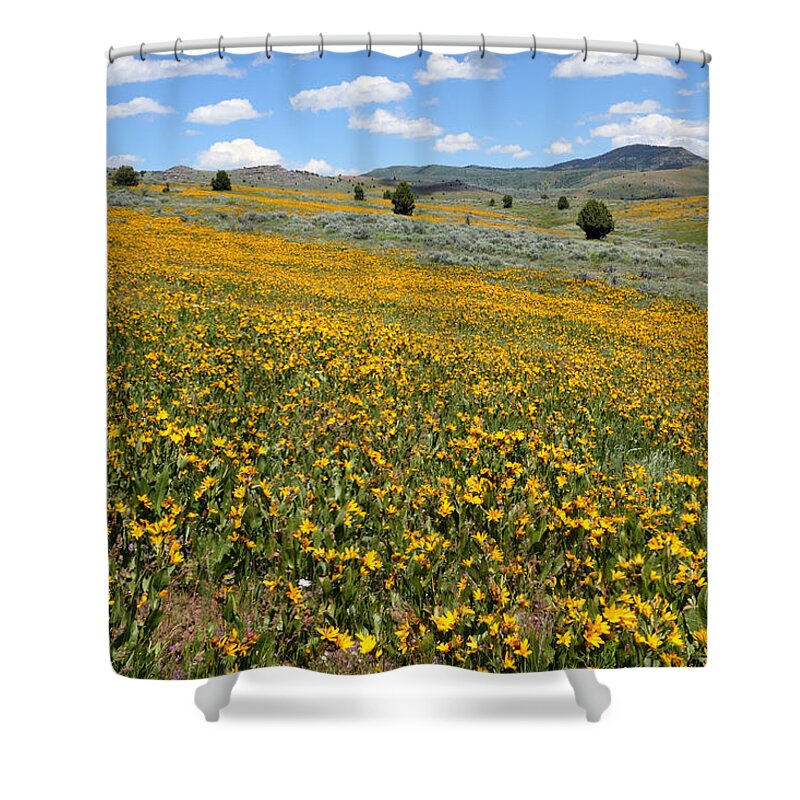 No People Shower Curtain featuring the photograph Mountain Meadows of Yellow Wildflowers by Brett Pelletier