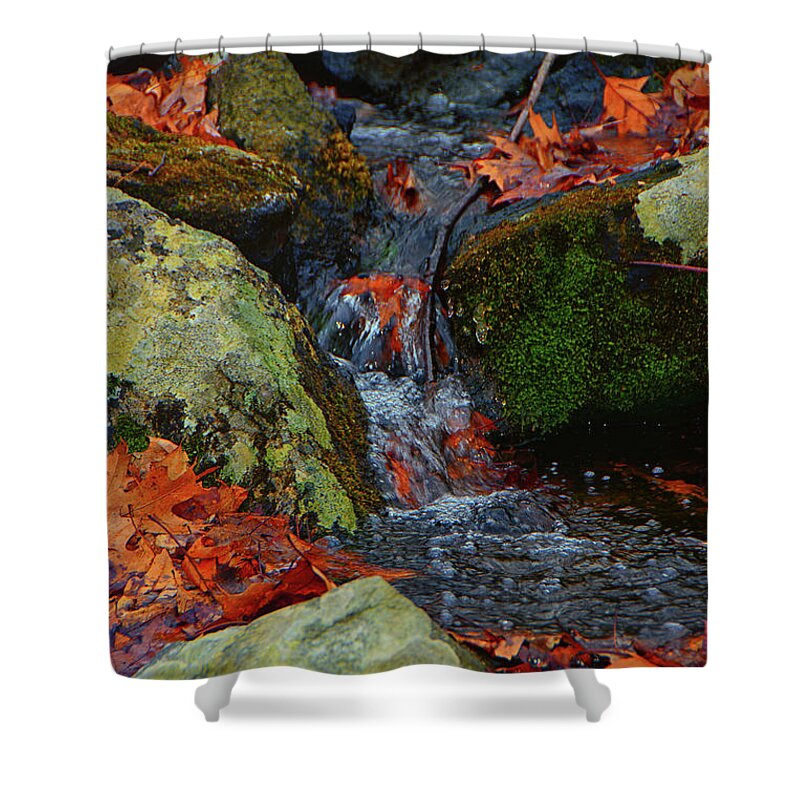 Mountain Spring On The At Shower Curtain featuring the photograph Mountain Spring on the AT by Raymond Salani III