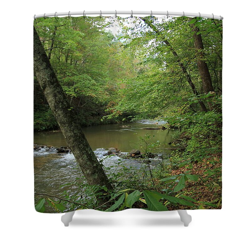 Mountain Stream Shower Curtain featuring the photograph Mountain Stream by Karen Ruhl