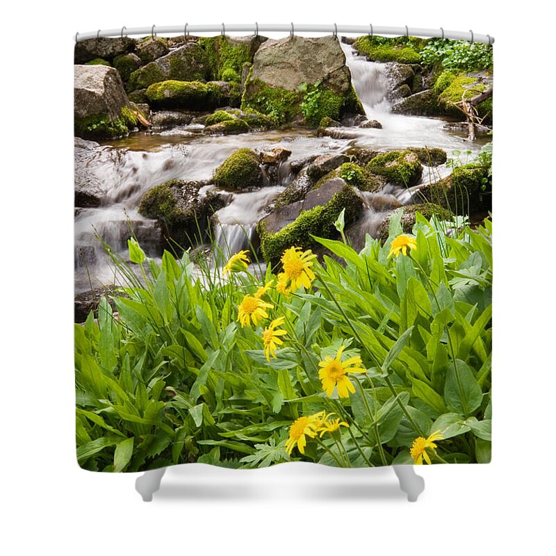 Water Shower Curtain featuring the photograph Mountain Waterfall and Wildflowers by Douglas Pulsipher
