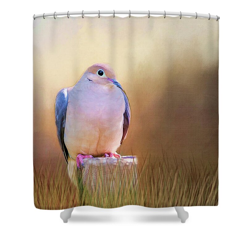 Dove Shower Curtain featuring the photograph Mourning Dove Painted Portrait by Cathy Kovarik