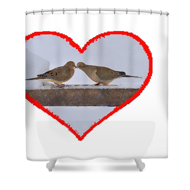 Mourning Doves; Birds; Love; Touching; Beaks Shower Curtain featuring the photograph Mourning doves kissing by Dan Friend