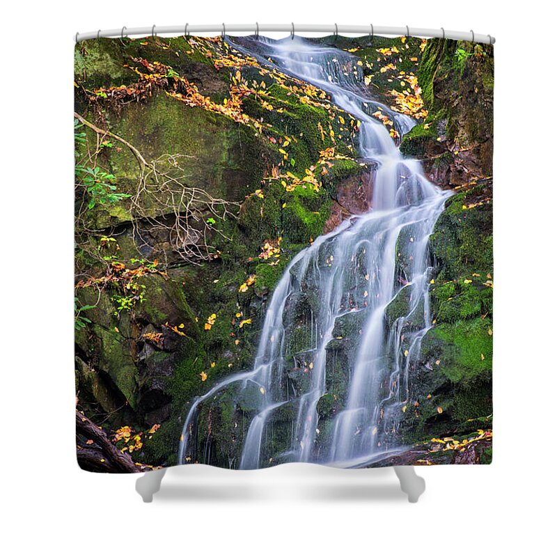 Waterfall Shower Curtain featuring the photograph Mouse Falls by Peg Runyan
