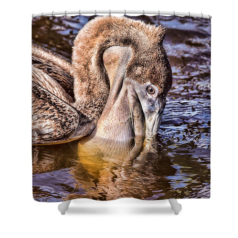 Pelican Eating Shower Curtain featuring the photograph Mouth Full by Joe Granita