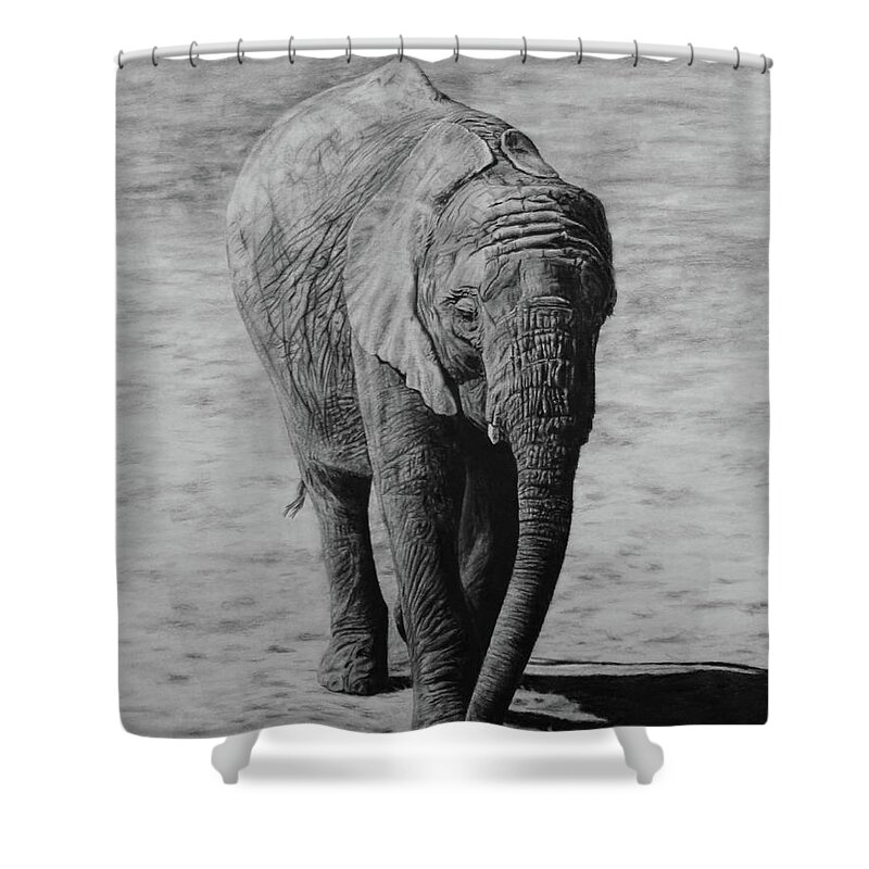 Elephant Shower Curtain featuring the drawing Mpumi by Jennifer Watson