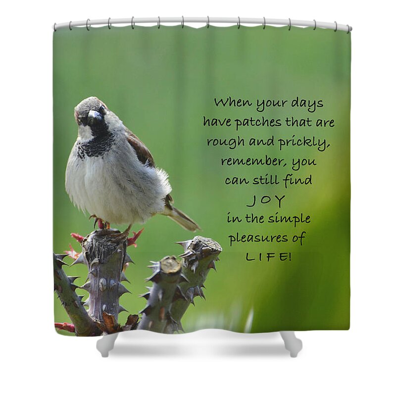 Card Shower Curtain featuring the photograph Mr Fluff and Prickly Times Card by Debby Pueschel