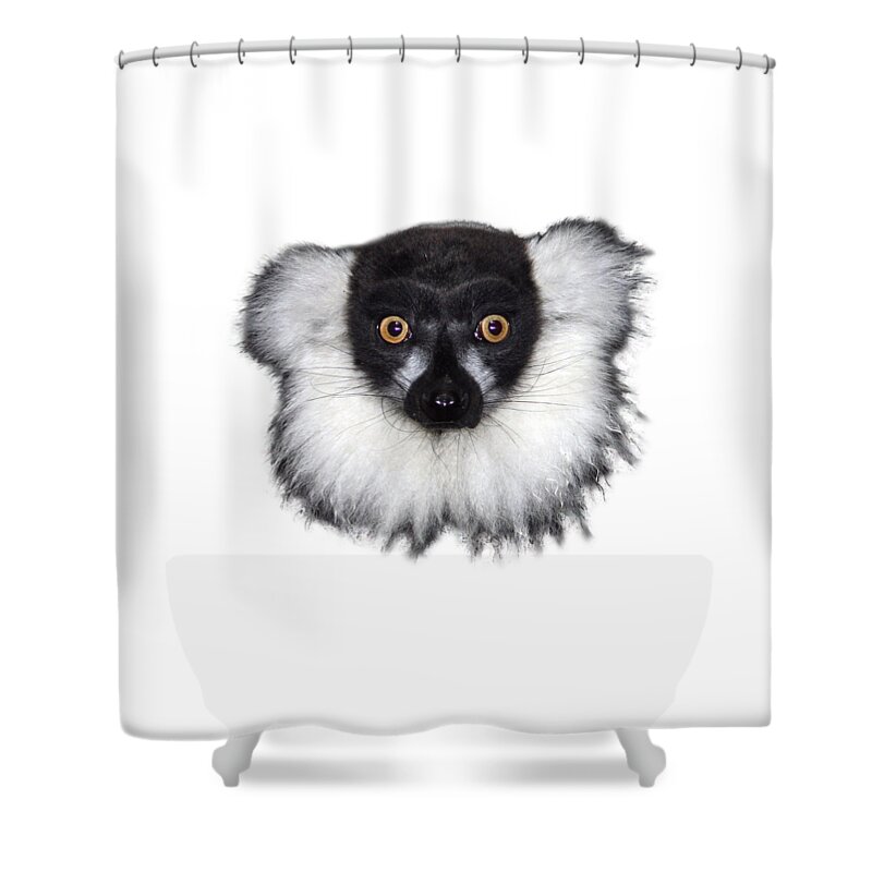 T-shirt Shower Curtain featuring the photograph Mr Lemur on Transparent background by Terri Waters