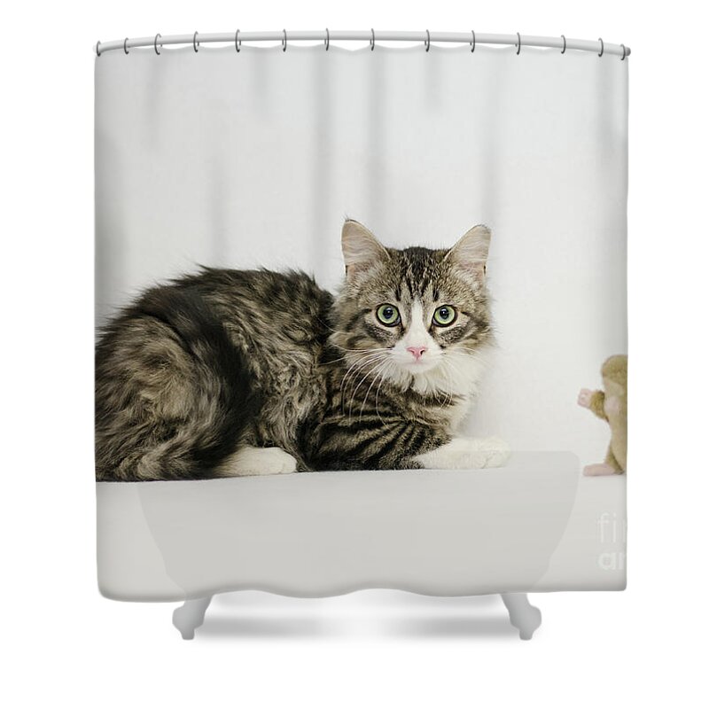 David Schultz Shower Curtain featuring the photograph Ms Alexia and mouse by Irina ArchAngelSkaya