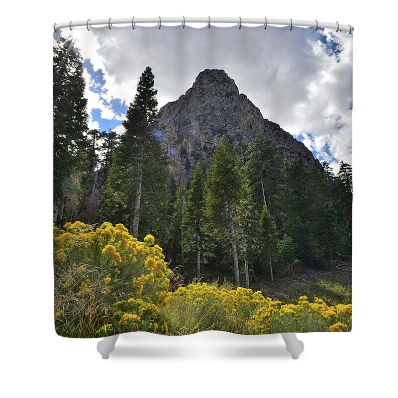 Humboldt-toiyabe National Forest Shower Curtain featuring the photograph Mt. Charleston Basin by Ray Mathis