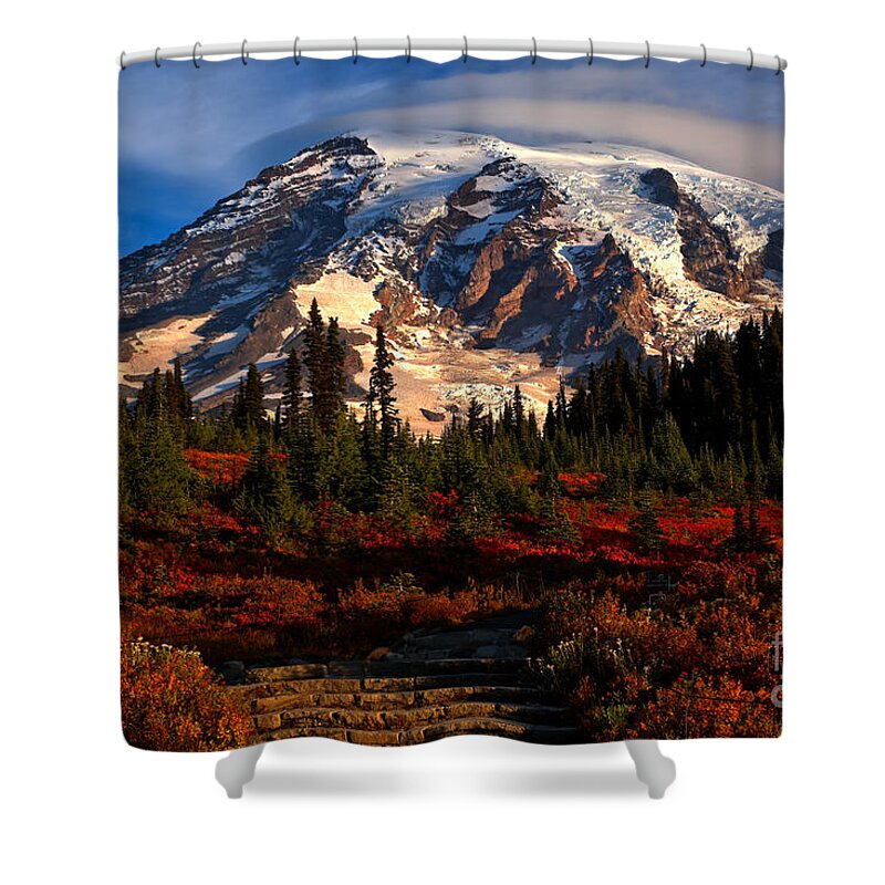 Mt Rainier National Park Shower Curtain featuring the photograph Mt. Rainier Paradise Morning by Adam Jewell