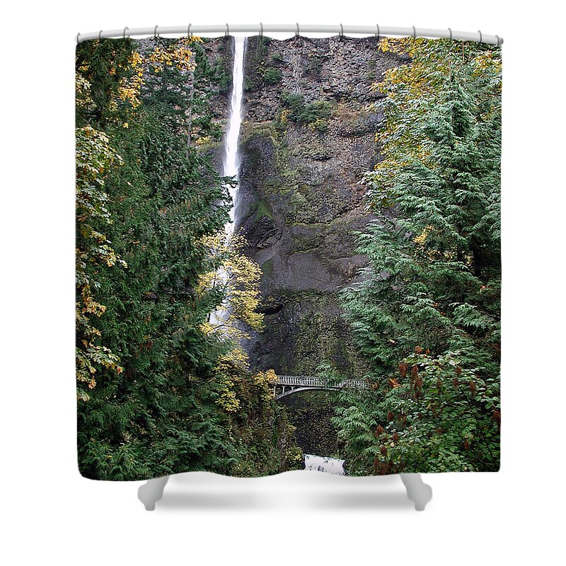 Multnomah Falls Shower Curtain featuring the photograph Multnomah Falls - 5 by DArcy Evans