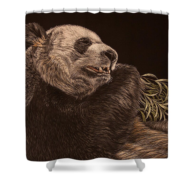 Panda Shower Curtain featuring the painting Munching Out by Margaret Sarah Pardy