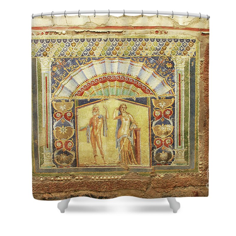 Ancient Shower Curtain featuring the photograph Mural at Hercaluneum by Patricia Hofmeester