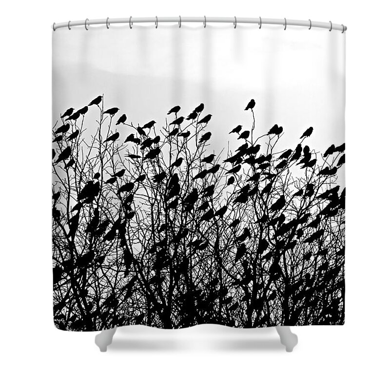 Murder Shower Curtain featuring the photograph Murder by Dark Whimsy