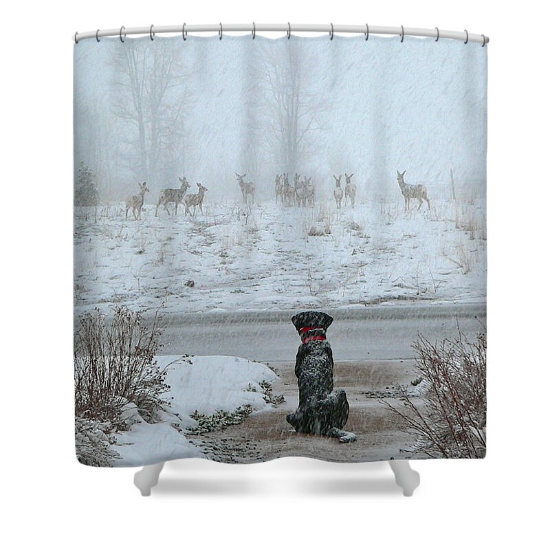 Deer Shower Curtain featuring the photograph Murphy Watches The Deer by Eric Tressler