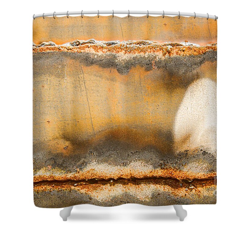 Grunge Shower Curtain featuring the photograph Mushroom by Marilyn Cornwell