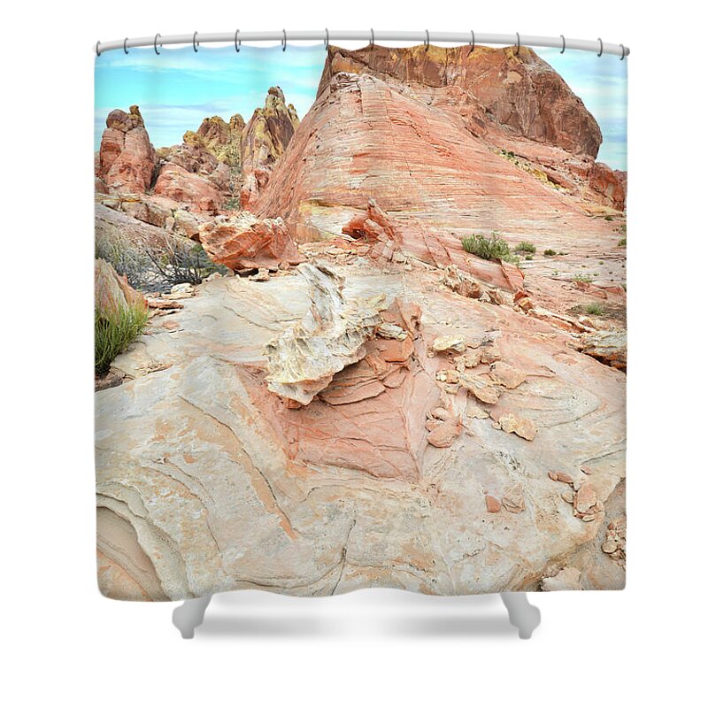 Valley Of Fire State Park Shower Curtain featuring the photograph Mushroom Rock in Valley of Fire by Ray Mathis