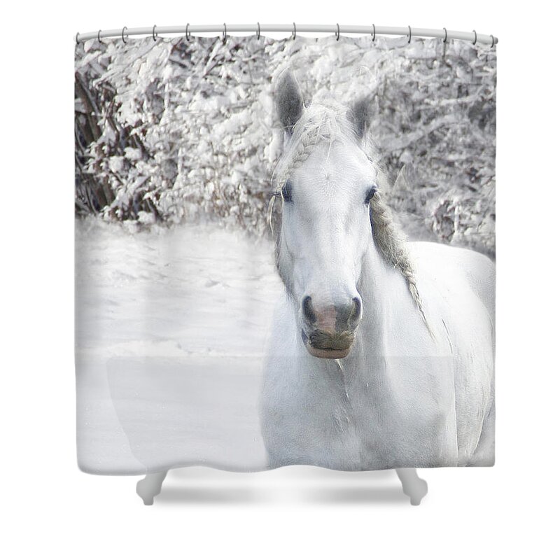 New Shower Curtain featuring the digital art Winter Whites by Michele A Loftus