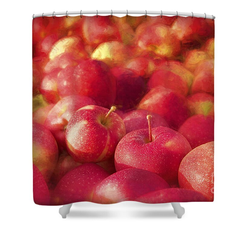 Apple Shower Curtain featuring the photograph My Apple Harvest by George Robinson