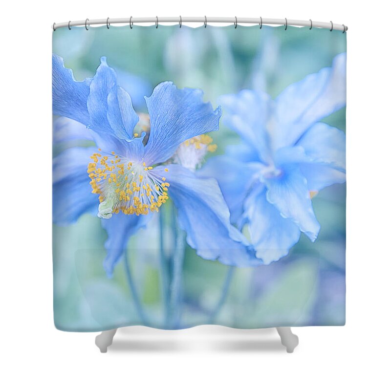 Alaska Shower Curtain featuring the photograph My Blue Heaven by Theresa Tahara