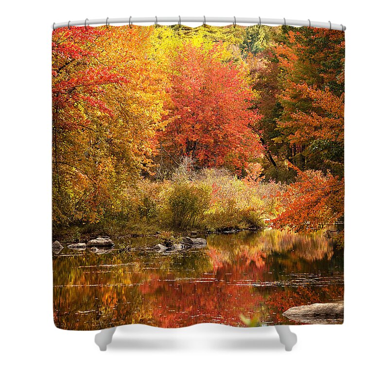 2015 Shower Curtain featuring the photograph My Corner of Heaven by Brenda Giasson