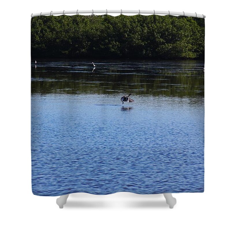 Ding Darling Shower Curtain featuring the photograph My Destination by Michiale Schneider