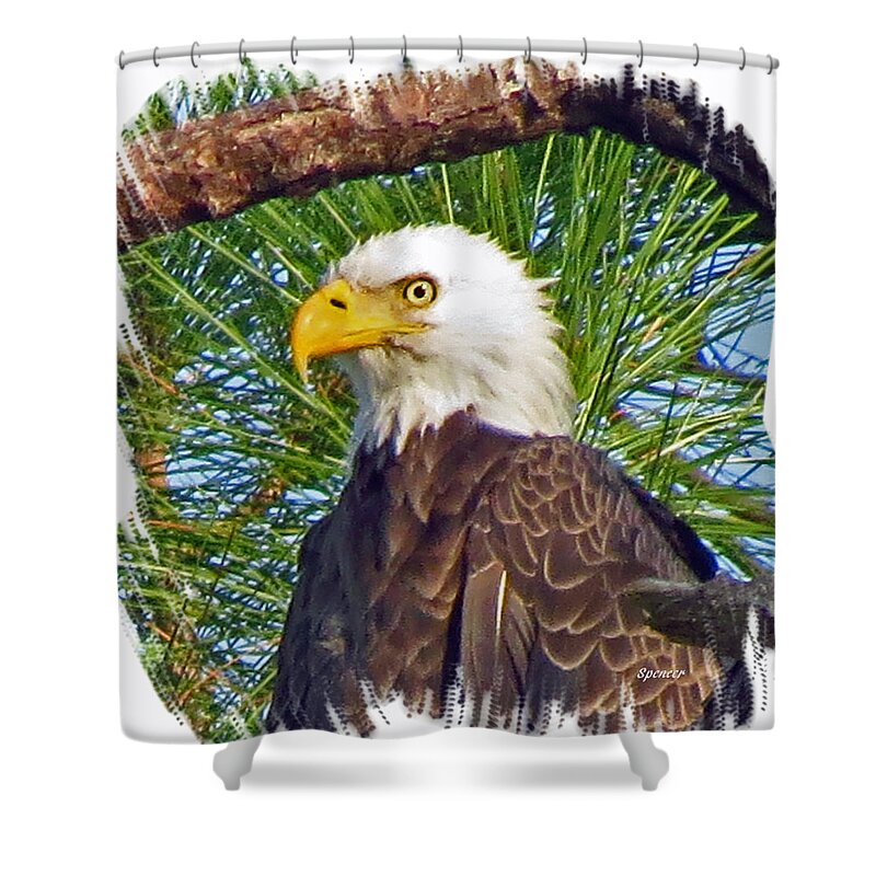 Wildlife Shower Curtain featuring the photograph My Eye by T Guy Spencer