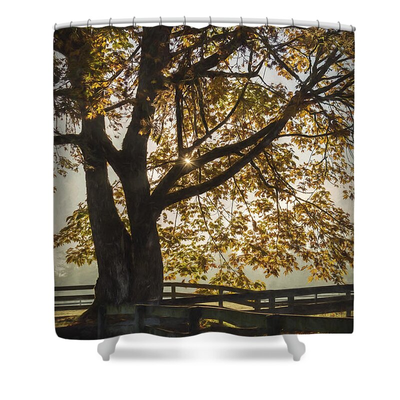My Favorite Season Shower Curtain featuring the painting My Favorite Season - Autumn Art by Jordan Blackstone
