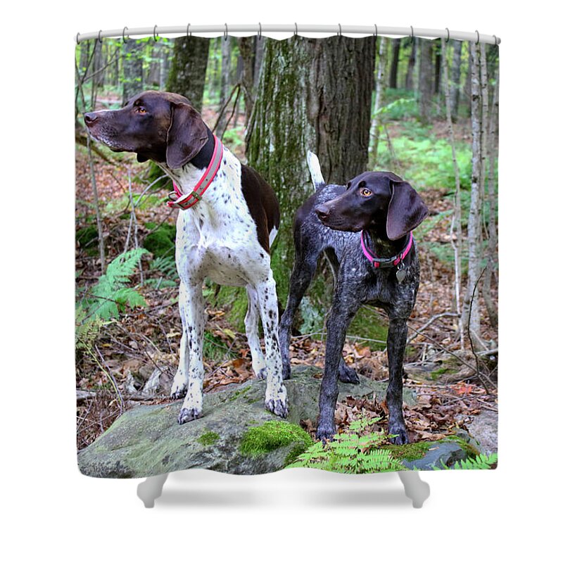  Shower Curtain featuring the photograph My Girls by Brook Burling