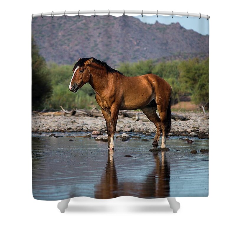 Wild Horses Shower Curtain featuring the photograph My Home by American Landscapes