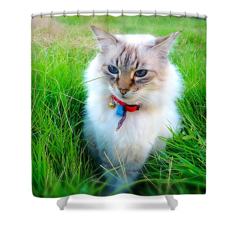 Cat Shower Curtain featuring the photograph My Meow by Michael Blaine