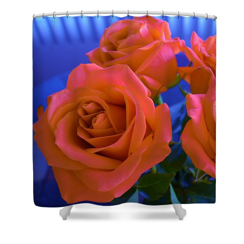 Arizona Shower Curtain featuring the photograph My Rhapsody In Blue by Janet Marie