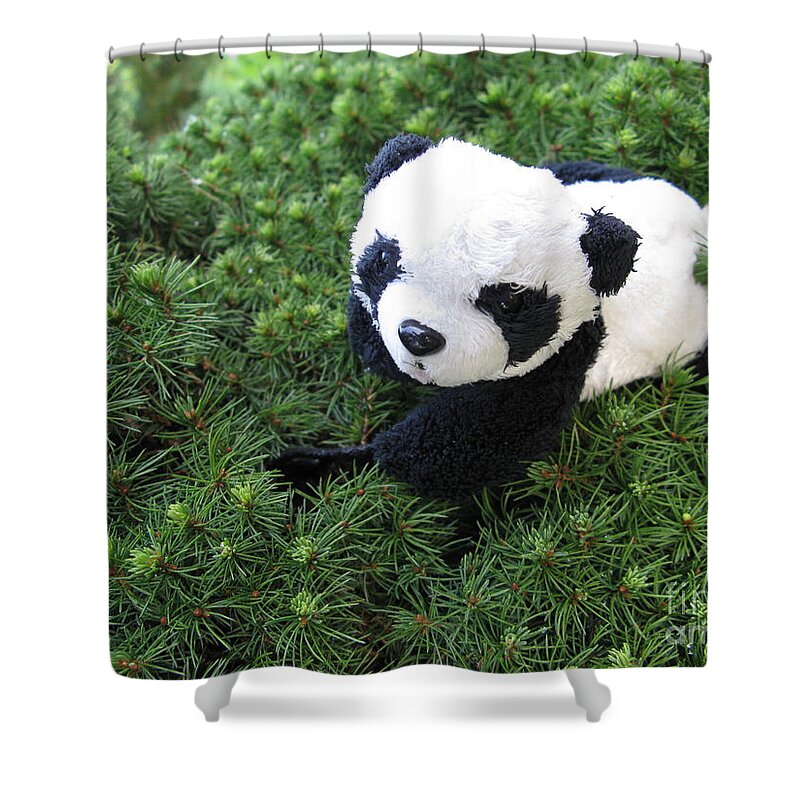 Baby Panda Shower Curtain featuring the photograph My soft green bed by Ausra Huntington nee Paulauskaite