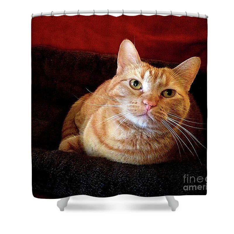 Illinois Shower Curtain featuring the photograph My True Love by Luther Fine Art