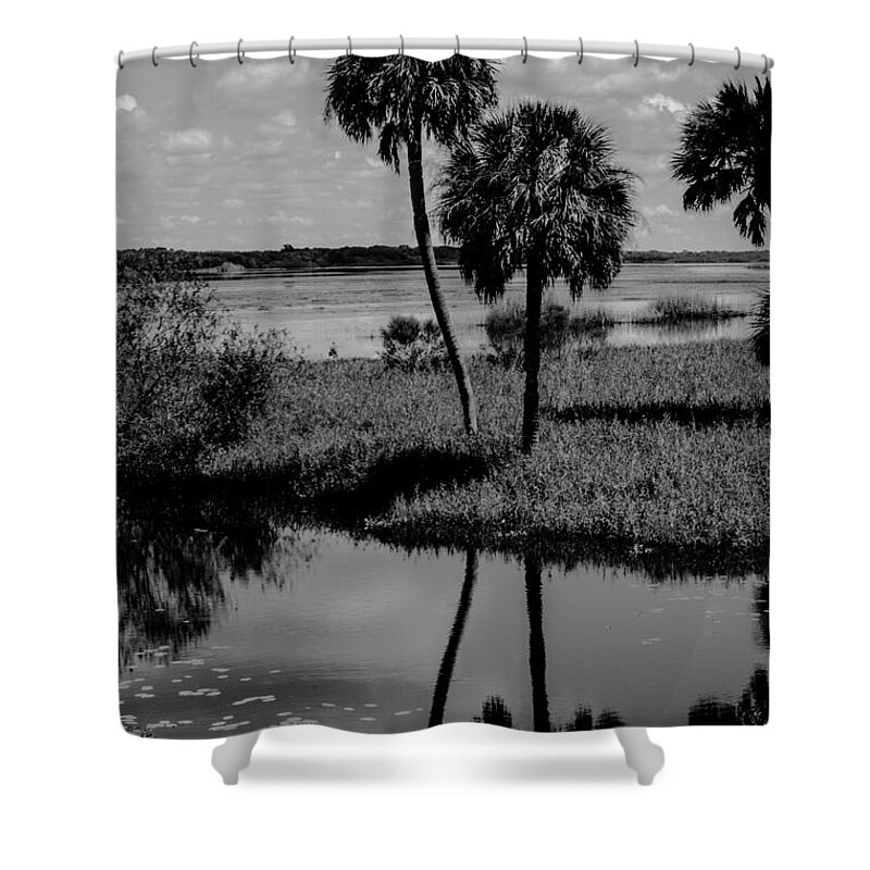  Shower Curtain featuring the photograph Myakka River Reflections by Susan Molnar