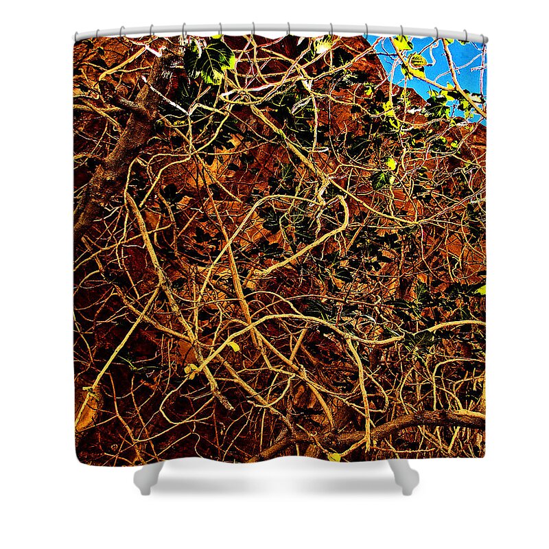 Resting Camel Shower Curtain featuring the photograph Mysterious Peter. Deep roots. by Andy i Za