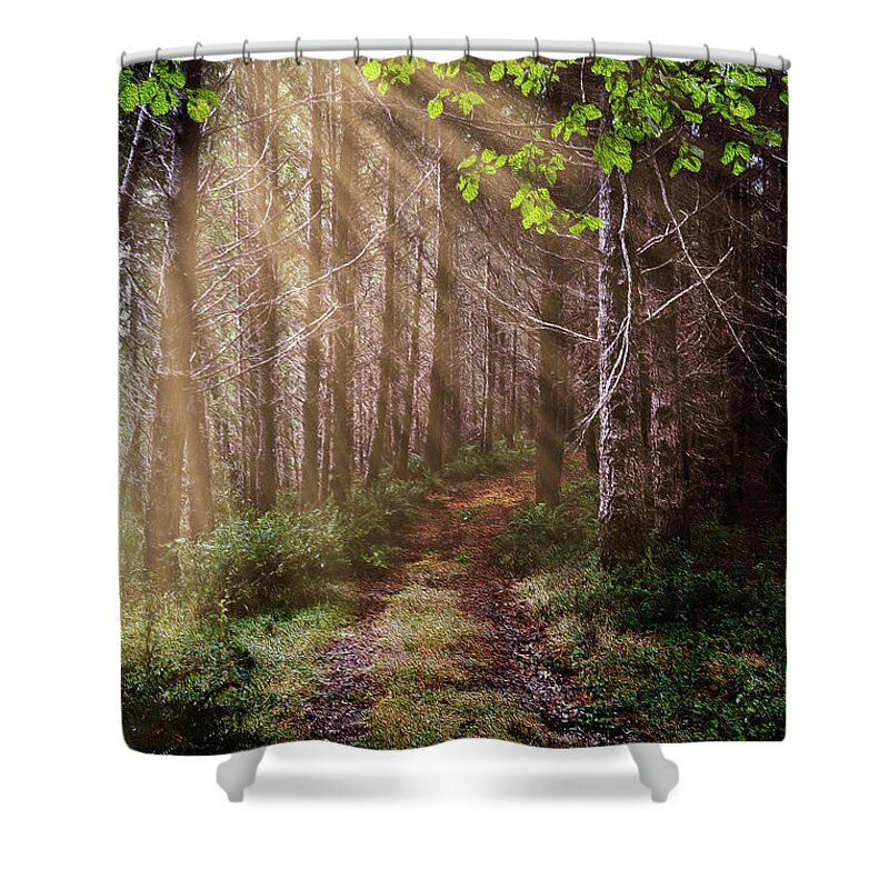 Appalachia Shower Curtain featuring the photograph Mystery at Dawn by Debra and Dave Vanderlaan