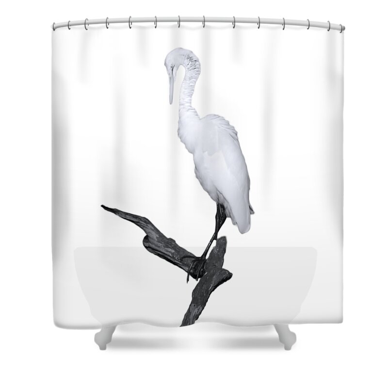Great White Egret Shower Curtain featuring the photograph Mystery of the Great White by Mark Andrew Thomas