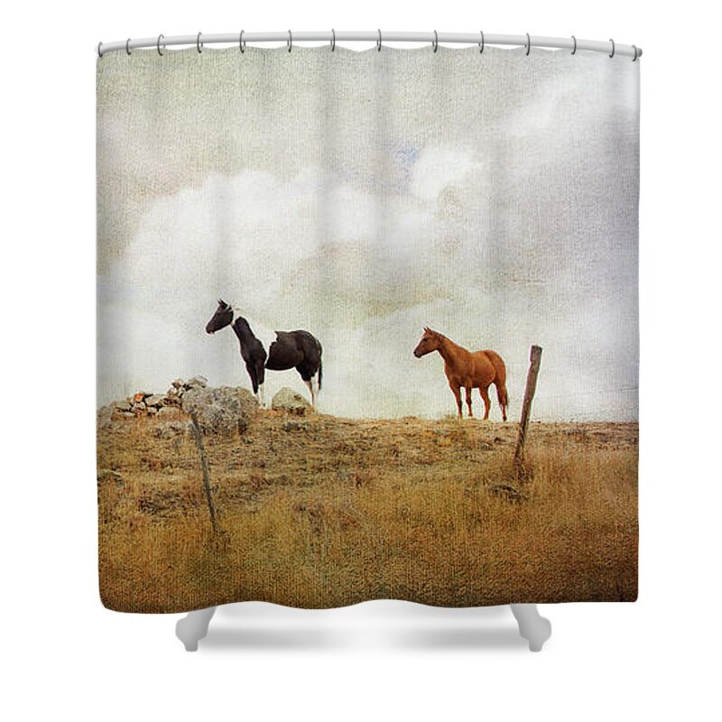Theresa Tahara Shower Curtain featuring the photograph Mystic Horses by Theresa Tahara